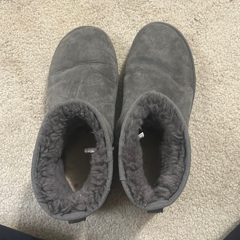 Short gray uggs